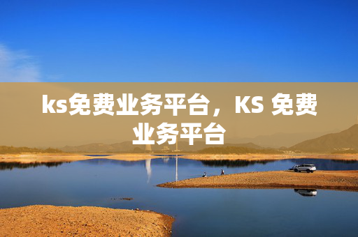 ks免费业务平台，KS 免费业务平台