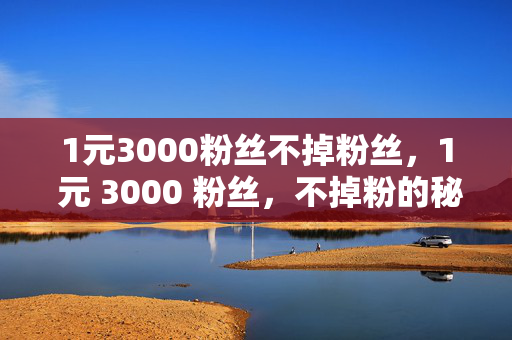 1元3000粉丝不掉粉丝，1 元 3000 粉丝，不掉粉的秘诀，直接点明了关键信息，即 1 元可以获得 3000 粉丝，并且强调了不掉粉丝这一特点，能够吸引读者的注意力，让他们想要了解更多关于如何获得这些粉丝以及保持粉丝不掉的方法。