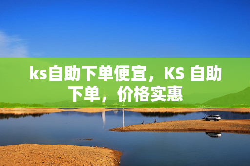 ks自助下单便宜，KS 自助下单，价格实惠