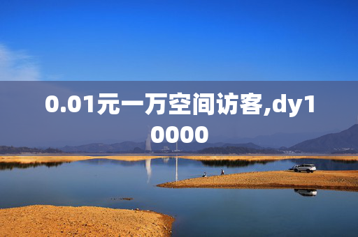 0.01元一万空间访客,dy10000