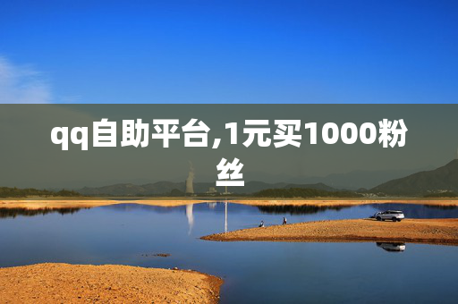 qq自助平台,1元买1000粉丝