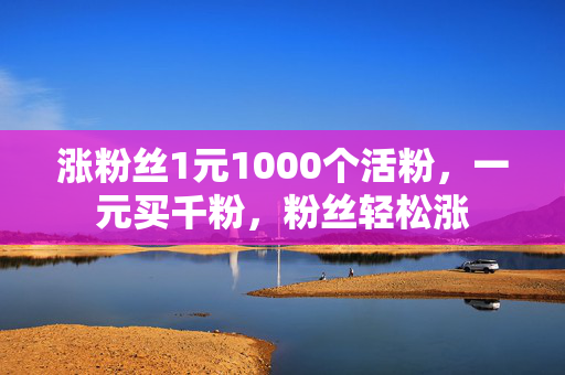 涨粉丝1元1000个活粉，一元买千粉，粉丝轻松涨