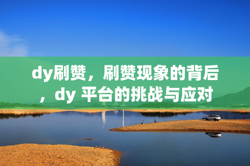 dy刷赞，刷赞现象的背后，dy 平台的挑战与应对