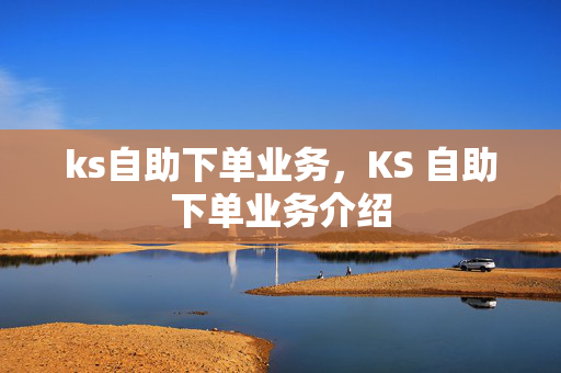 ks自助下单业务，KS 自助下单业务介绍