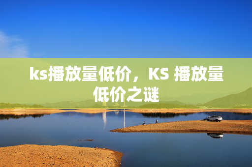 ks播放量低价，KS 播放量低价之谜