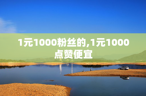 1元1000粉丝的,1元1000点赞便宜