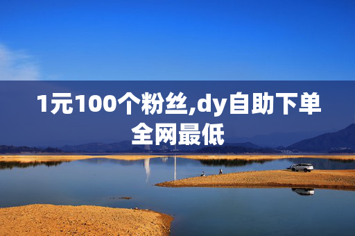 1元100个粉丝,dy自助下单全网最低