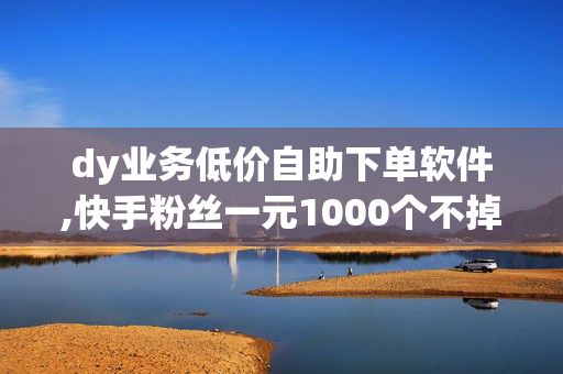 dy业务低价自助下单软件,快手粉丝一元1000个不掉粉