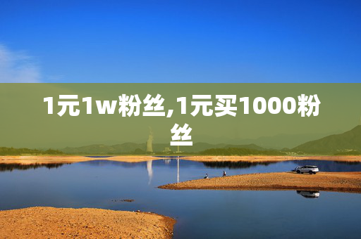 1元1w粉丝,1元买1000粉丝