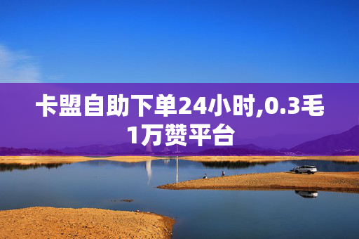 卡盟自助下单24小时,0.3毛1万赞平台