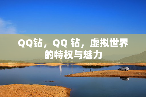 QQ钻，QQ 钻，虚拟世界的特权与魅力