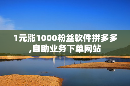 1元涨1000粉丝软件拼多多,自助业务下单网站