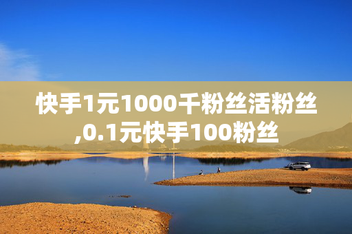 快手1元1000千粉丝活粉丝,0.1元快手100粉丝