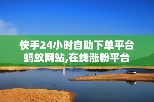 快手24小时自助下单平台蚂蚁网站,在线涨粉平台