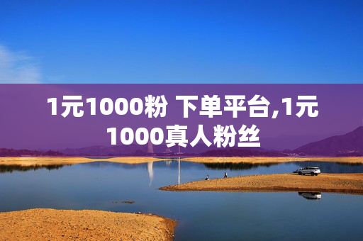 1元1000粉 下单平台,1元1000真人粉丝