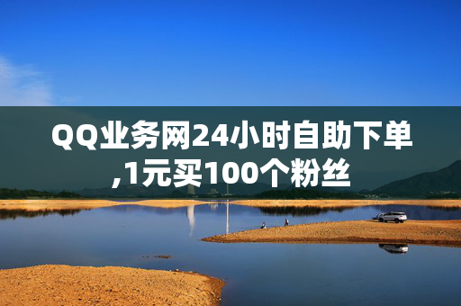 QQ业务网24小时自助下单,1元买100个粉丝