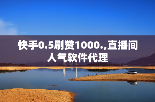 快手0.5刷赞1000.,直播间人气软件代理