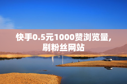 快手0.5元1000赞浏览量,刷粉丝网站