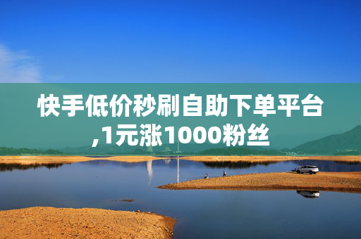 快手低价秒刷自助下单平台,1元涨1000粉丝