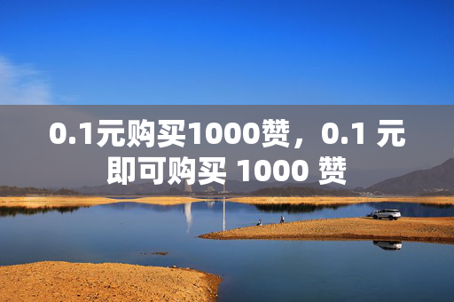 0.1元购买1000赞，0.1 元即可购买 1000 赞