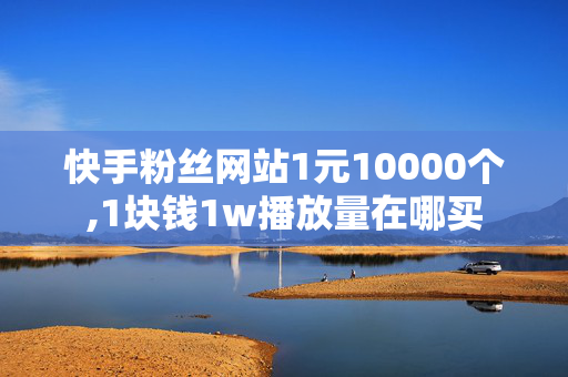 快手粉丝网站1元10000个,1块钱1w播放量在哪买