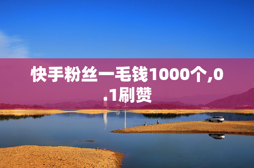 快手粉丝一毛钱1000个,0.1刷赞