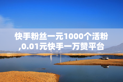 快手粉丝一元1000个活粉,0.01元快手一万赞平台