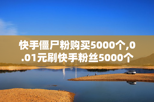 快手僵尸粉购买5000个,0.01元刷快手粉丝5000个