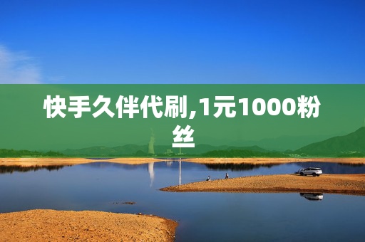 快手久伴代刷,1元1000粉丝