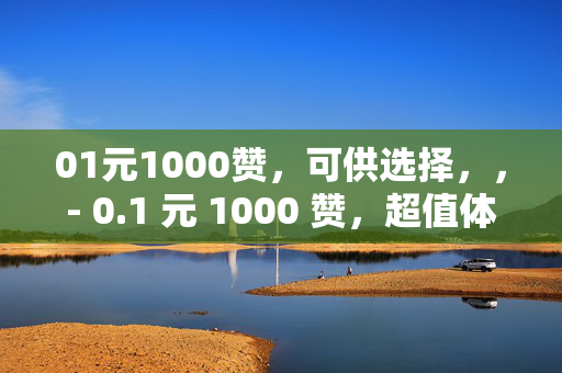 01元1000赞，可供选择，，- 0.1 元 1000 赞，超值体验！