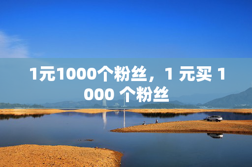 1元1000个粉丝，1 元买 1000 个粉丝