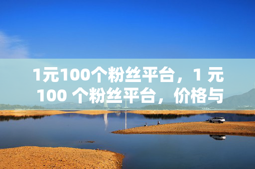 1元100个粉丝平台，1 元 100 个粉丝平台，价格与粉丝量的诱惑