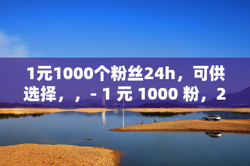 1元1000个粉丝24h，可供选择，，- 1 元 1000 粉，24h 轻松搞定