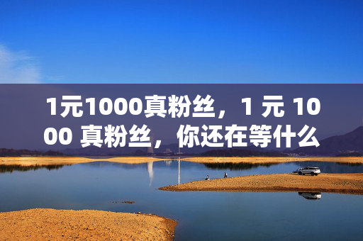 1元1000真粉丝，1 元 1000 真粉丝，你还在等什么？