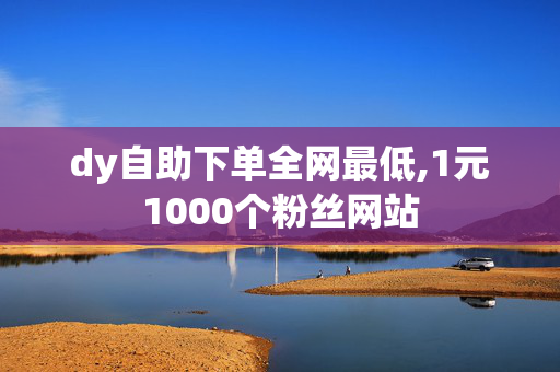 dy自助下单全网最低,1元1000个粉丝网站