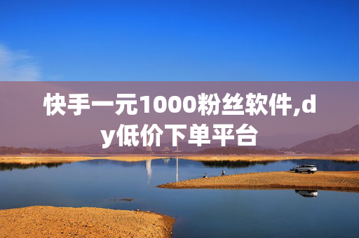 快手一元1000粉丝软件,dy低价下单平台