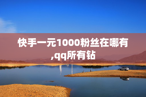 快手一元1000粉丝在哪有,qq所有钻