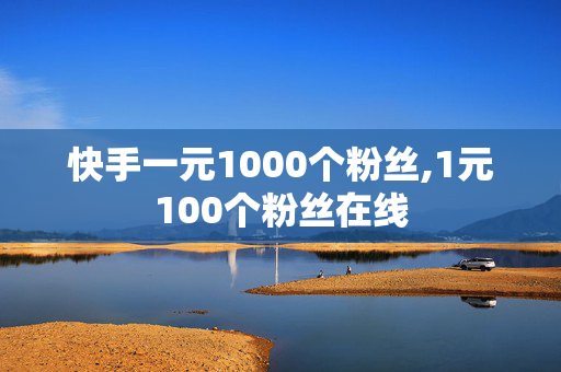 快手一元1000个粉丝,1元100个粉丝在线