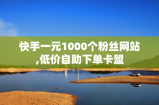 快手一元1000个粉丝网站,低价自助下单卡盟