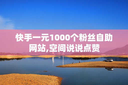 快手一元1000个粉丝自助网站,空间说说点赞