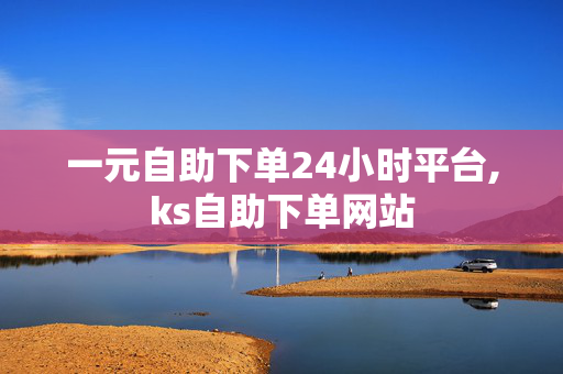 一元自助下单24小时平台,ks自助下单网站