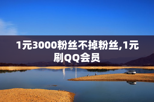 1元3000粉丝不掉粉丝,1元刷QQ会员