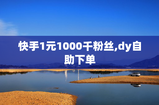 快手1元1000千粉丝,dy自助下单