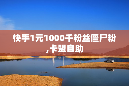 快手1元1000千粉丝僵尸粉,卡盟自助