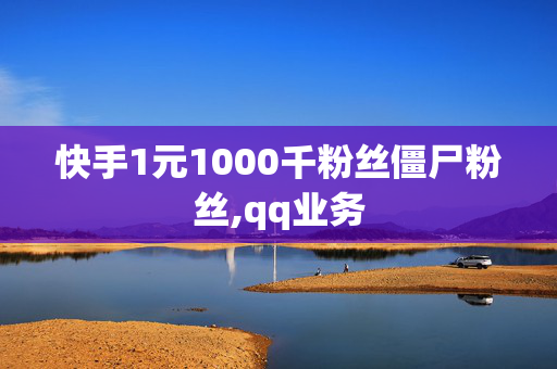 快手1元1000千粉丝僵尸粉丝,qq业务