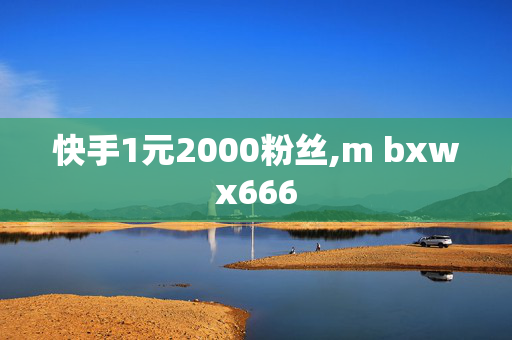 快手1元2000粉丝,m bxwx666