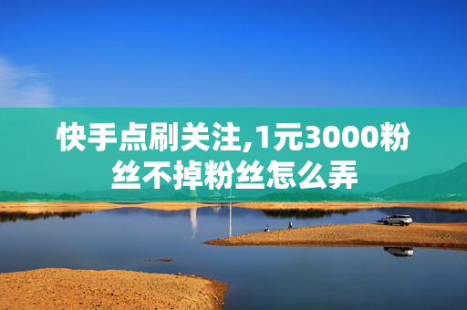 快手点刷关注,1元3000粉丝不掉粉丝怎么弄