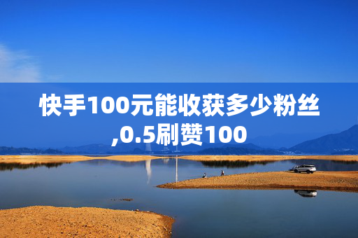 快手100元能收获多少粉丝,0.5刷赞100