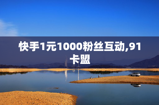 快手1元1000粉丝互动,91卡盟