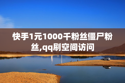 快手1元1000千粉丝僵尸粉丝,qq刷空间访问